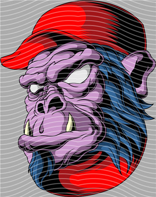 Street design-JT 4434